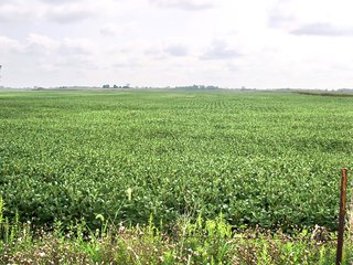 Property photo 2 - EXCELLENT CROPLAND AUCTION - 186.5+/- ACRES OFFERED IN 4 TRACTS IN RUSH AND SHELBY COUNTIES, INDIANA